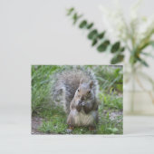 Eichhörnchenpostkarte Postkarte (Stehend Vorderseite)