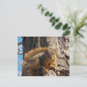 Eichhörnchenpostkarte Postkarte (Stehend Vorderseite)