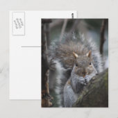 Eichhörnchenpostkarte Postkarte (Vorne/Hinten)