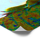 Eichhörnchenpsychadeliges Foto Poster (Ecke)