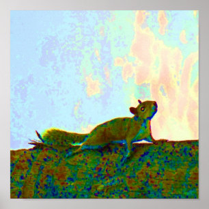 Eichhörnchenpsychadeliges Foto Poster