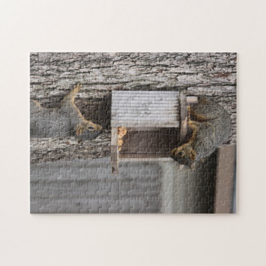 Eichhörnchenpuzzlespiel: Zwei Eichhörnchen Puzzle (Horizontal)