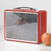 Eichhörnchenschachtel Metall Brotdose (Beispiel)