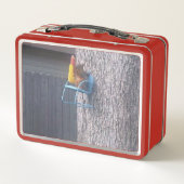 Eichhörnchenschachtel Metall Brotdose (Rückseite)