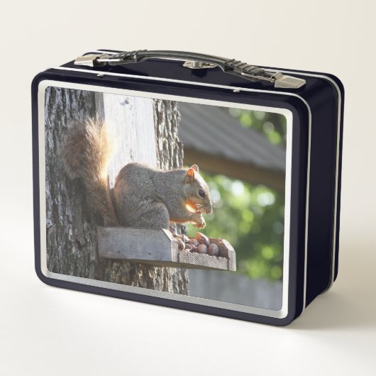 Eichhörnchenschachtel Metall Brotdose (Rückseite)