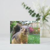 Eichhörnchenschließung Postkarte (Stehend Vorderseite)