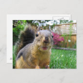Eichhörnchenschließung Postkarte (Vorne/Hinten)