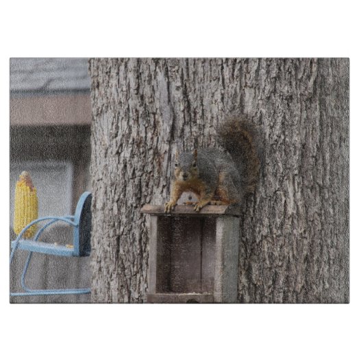 Eichhörnchenschneider Schneidebrett (Vorderseite)