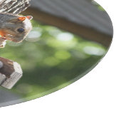 Eichhörnchenschneider Schneidebrett (Ecke)