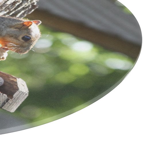 Eichhörnchenschneider Schneidebrett (Ecke)