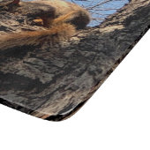 Eichhörnchenschneider Schneidebrett (Ecke)