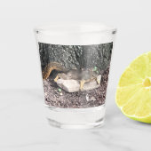 Eichhörnchenschuss Schnapsglas (Vorderseite)