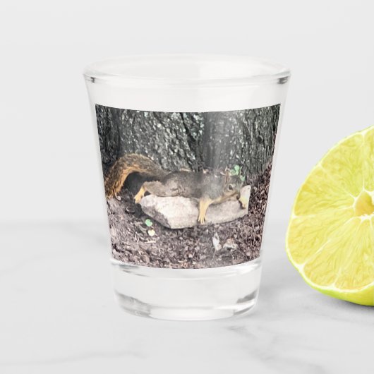Eichhörnchenschuss Schnapsglas (Vorderseite)
