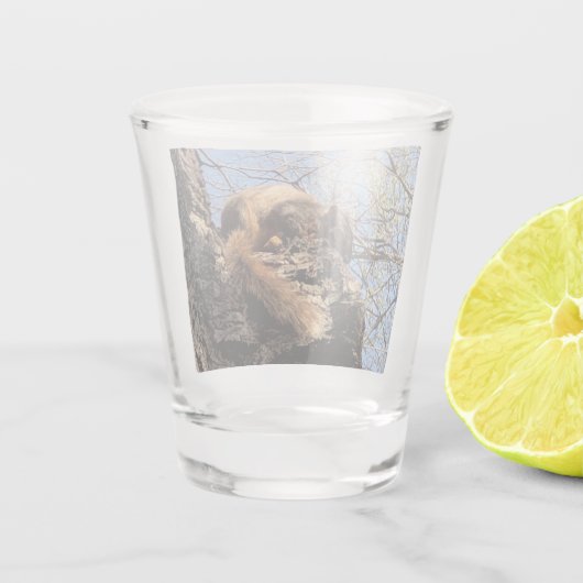 Eichhörnchenschuss Schnapsglas (Rückseite)