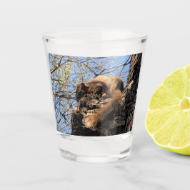 Eichhörnchenschuss Schnapsglas