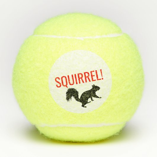 Eichhörnchentennis BallSet von 3 Tennisbälle (Vorderseite)