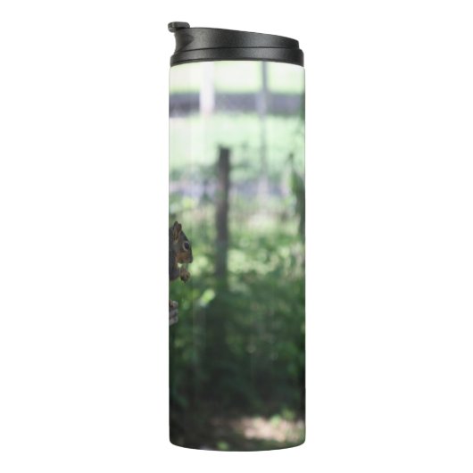 Eichhörnchentherme Thermosbecher (Nach rechts gedreht)