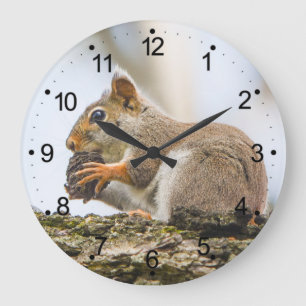 Eichhörnchentiere Wald-Natur Große Wanduhr