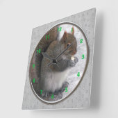 Eichhörnchenuhr Quadratische Wanduhr (Winkel)