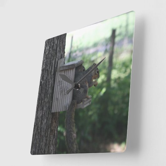 Eichhörnchenuhr Quadratische Wanduhr (Winkel)