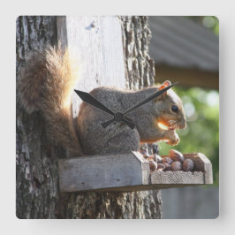 Eichhörnchenuhr Quadratische Wanduhr