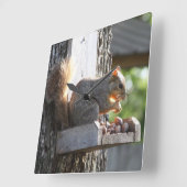 Eichhörnchenuhr Quadratische Wanduhr (Winkel)