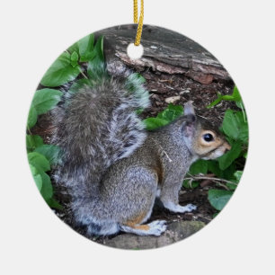 Eichhörnchenverzierung Keramik Ornament