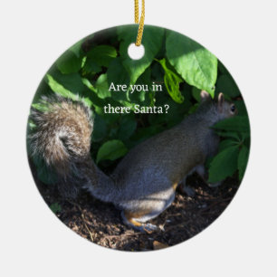 Eichhörnchenverzierung Keramik Ornament