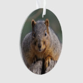 Eichhörnchenverzierung Ornament (Vorderseite)