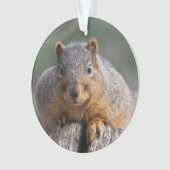 Eichhörnchenverzierung Ornament (Vorderseite)