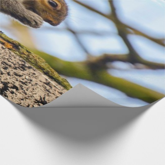 Eichhörnchenwackelpapier Geschenkpapier (Ecke)