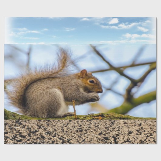Eichhörnchenwackelpapier Geschenkpapier (Flach)