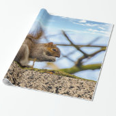 Eichhörnchenwackelpapier Geschenkpapier (Ungerollt)