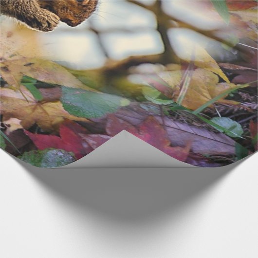 Eichhörnchenwackelpapier Geschenkpapier (Ecke)