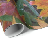 Eichhörnchenwackelpapier Geschenkpapier (Rolleneckpunkt)