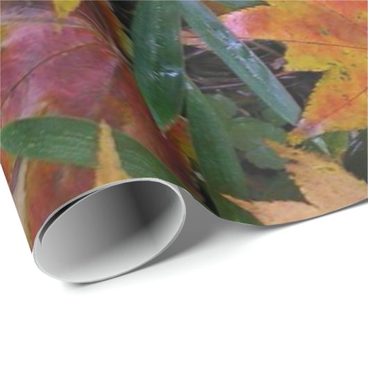 Eichhörnchenwackelpapier Geschenkpapier (Rolleneckpunkt)