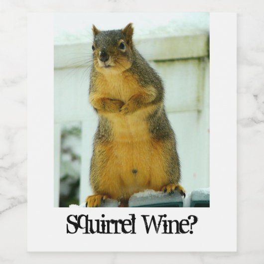 Eichhörnchenwein Weinetikett (Einzelnes Label)