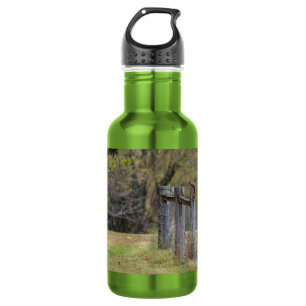 Eichhörnchenzaun Pose Edelstahl Wasserflasche