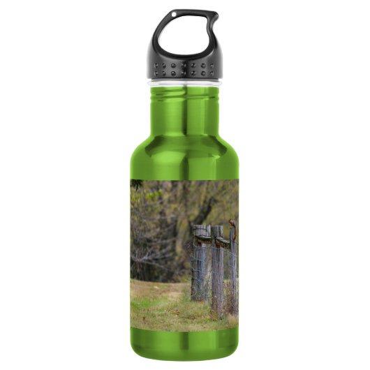 Eichhörnchenzaun Pose Edelstahl Wasserflasche (Vorderseite)