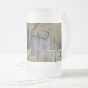 Eichhörnchenzaun Pose Mattierte Glass-Bier-Tasse Mattglas Bierglas
