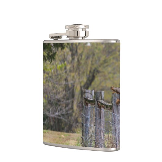 Eichhörnchenzäune Pose Flachmann (Links)