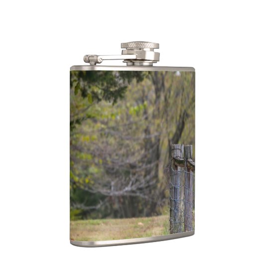 Eichhörnchenzäune Pose Flachmann (Rechts)