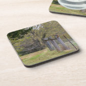 Eichhörnchenzäune Pose Getränkeuntersetzer (Linke Seite)