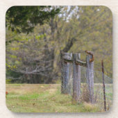 Eichhörnchenzäune Pose Getränkeuntersetzer (Vorderseite)