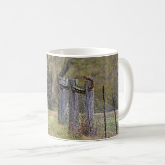 Eichhörnchenzäune Pose Kaffee Tasse (VorderseiteRechts)