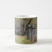 Eichhörnchenzäune Pose Kaffee Tasse (Mittel)