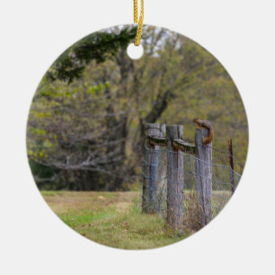 Eichhörnchenzäune Pose Keramik Ornament