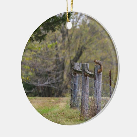 Eichhörnchenzäune Pose Keramik Ornament (Links)