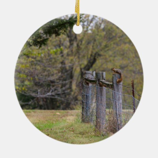 Eichhörnchenzäune Pose Keramik Ornament (Hinten)