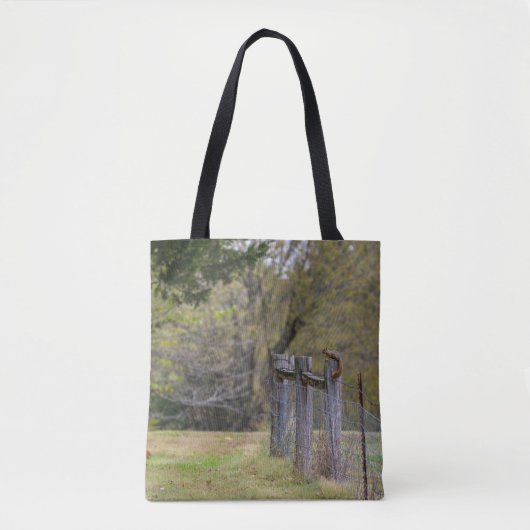 Eichhörnchenzäune Pose Tasche (Vorderseite)